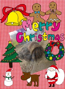 Ｃｈｒｉｓｔｍａｓ