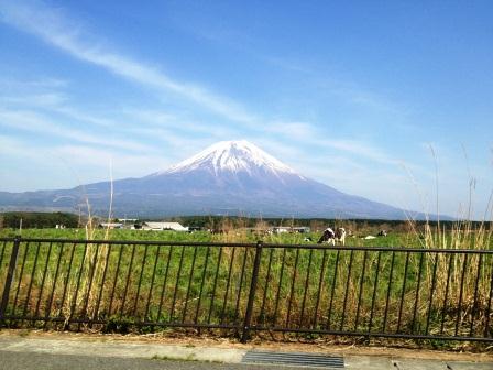 牧場と富士山